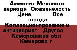 Аммонит Мелового периода. Окаменелость. › Цена ­ 2 800 - Все города Коллекционирование и антиквариат » Другое   . Кемеровская обл.,Кемерово г.